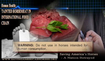 click to view larger banner for download